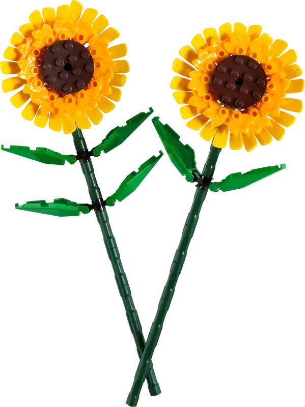 Sunflowers - 40524