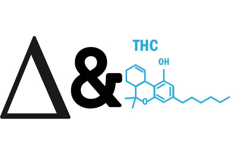 is there a difference between a delta and thc