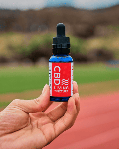 Are our CBD Oil Products Guaranteed To Be Safe for Pain Problems?