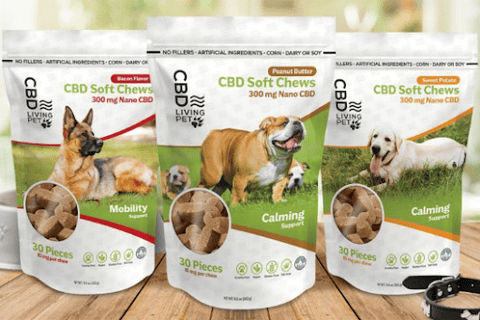 CBD For Pets