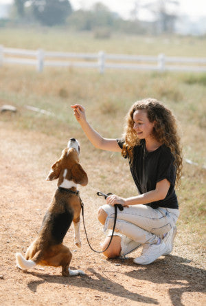 dog treats with bacon flavor