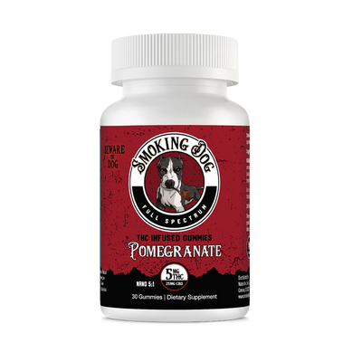 Smoking Dog CBD + THC Gummies (10mg CBD : 10mg THC) - 30ct Pomegrante   - CBD Living