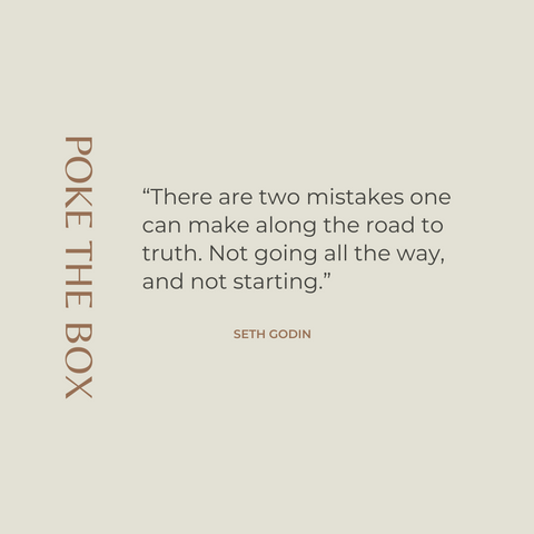 Poke The Box Book Summary by Seth Godin Quote 3