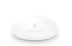 Flood sensor