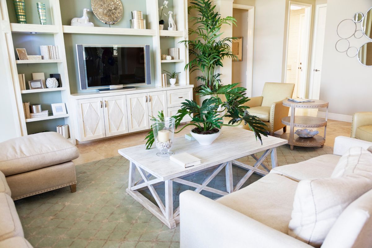 Living room beautifully decorated with a combination of old and new decor. 