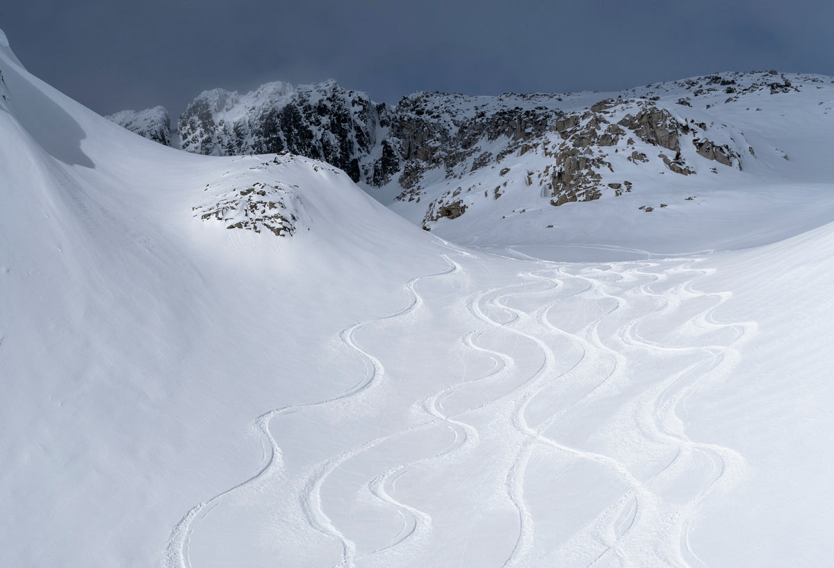 Whistler photographer