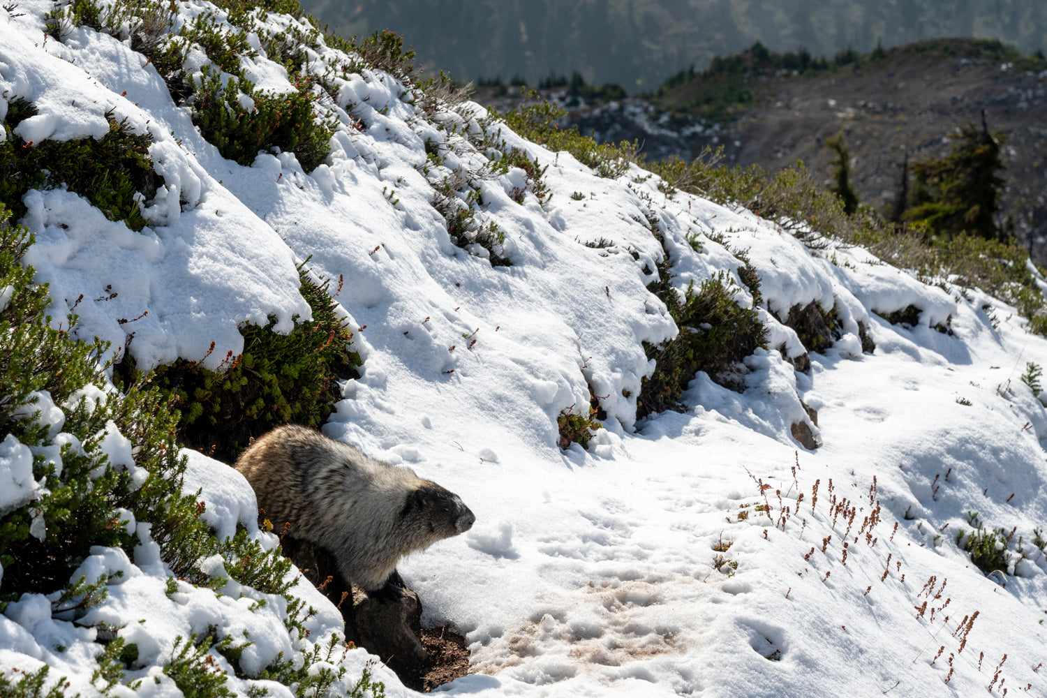 Adventure and landscape photography from Squamish, BC