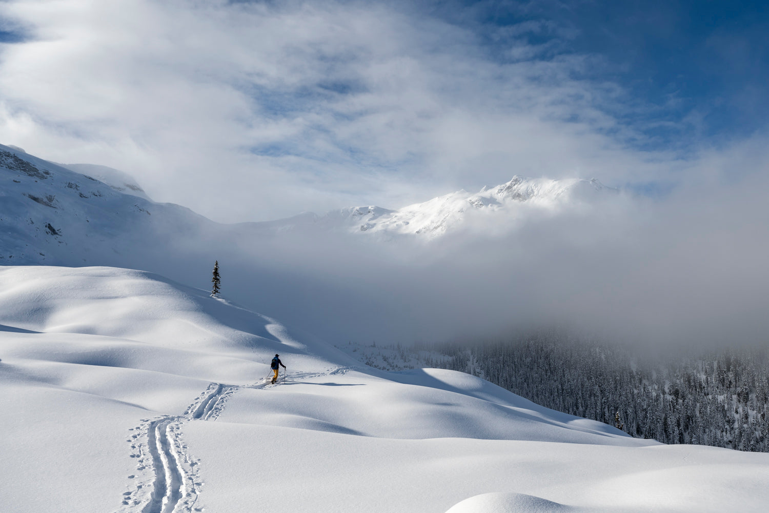 Canadian landscape and adventure photographer. Whistler, BC.