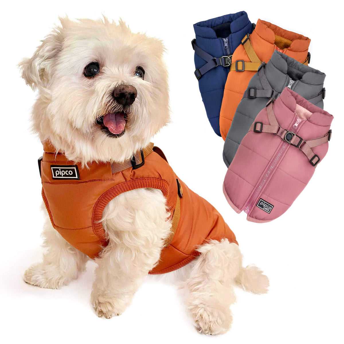 Dog model wearing orange Pipco puffer jacket with in-built harness
