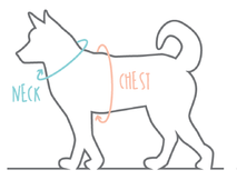 Diagram showing how to measure small dog neck and chest size