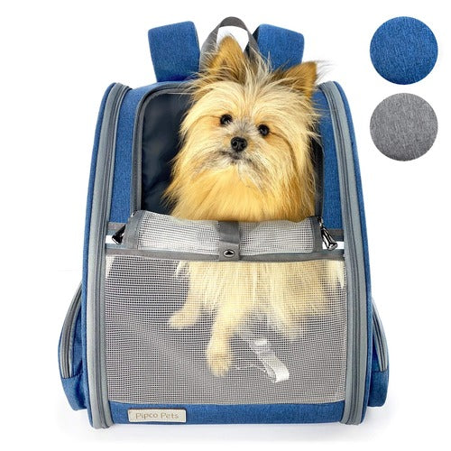 Dog sitting in Pipco dog backpack carrier navy blue