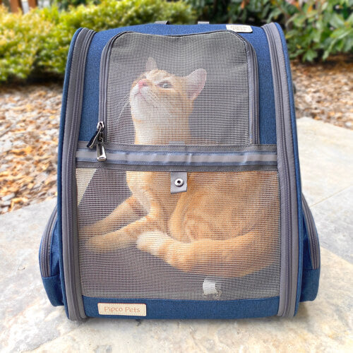 Pipco Pack cat carrier navy blue containing 5kg cat