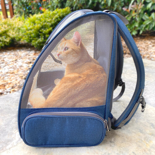Pipco Pack cat backpack navy blue containing 5kg cat lying down