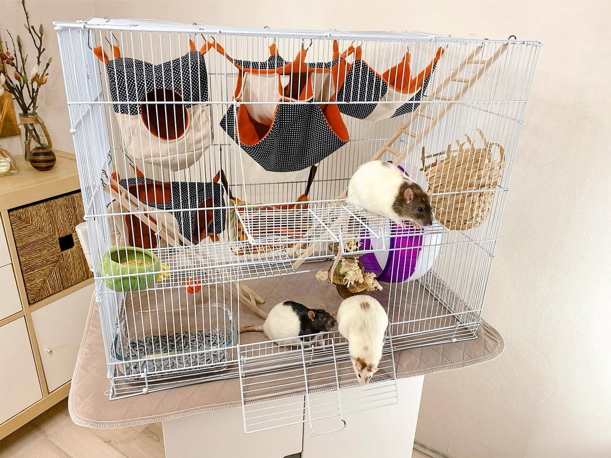 Large rat cage sitting on washable pee pad as base and containing three rats