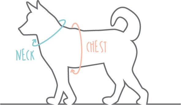 Diagram showing how to take measurements of dog's neck and chest for harness sizes