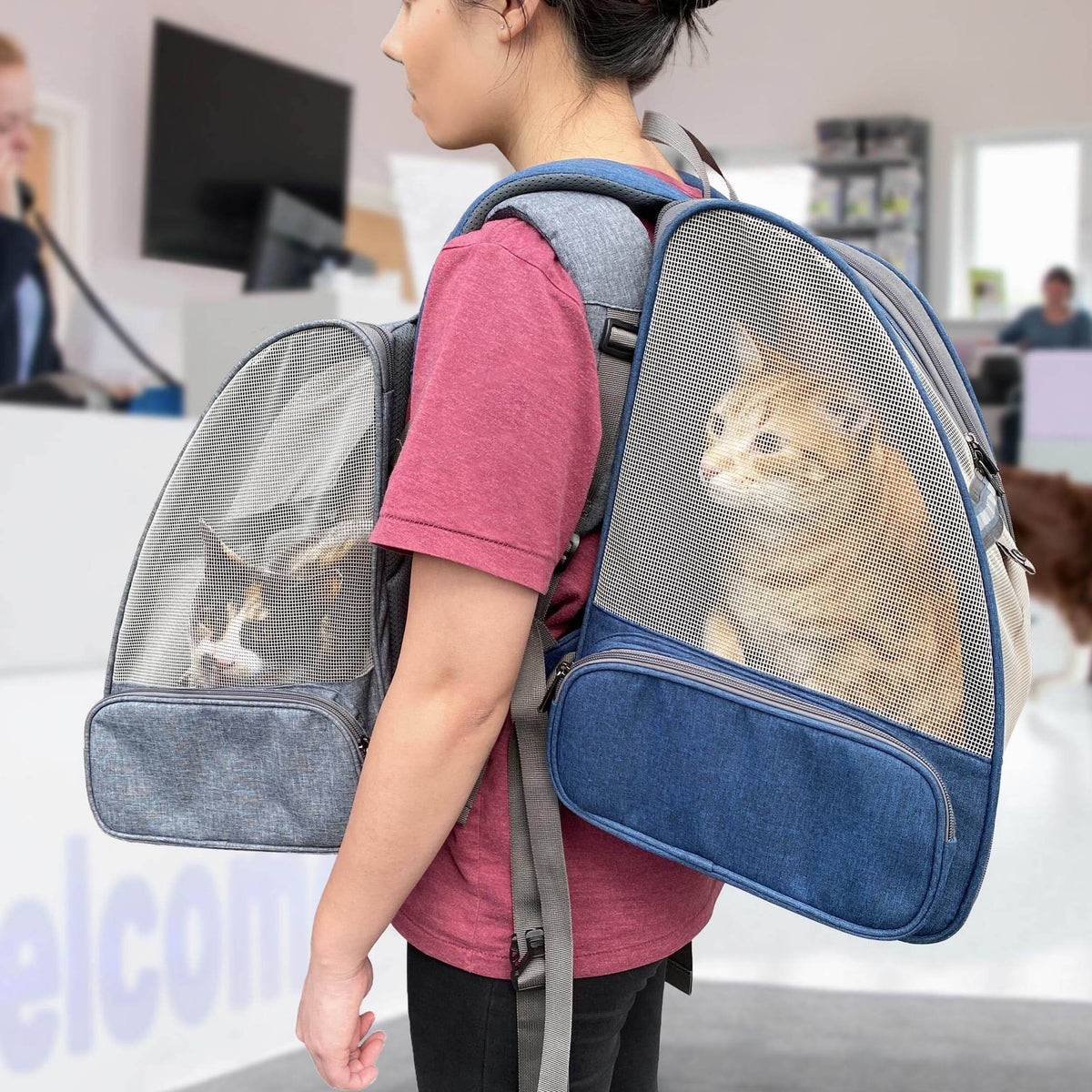 Cat owner wearing two backpacks containing cats, one on front, one on back, in vet clinic