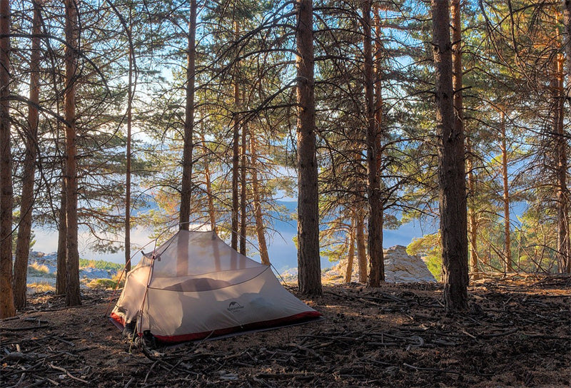 tent in a forest