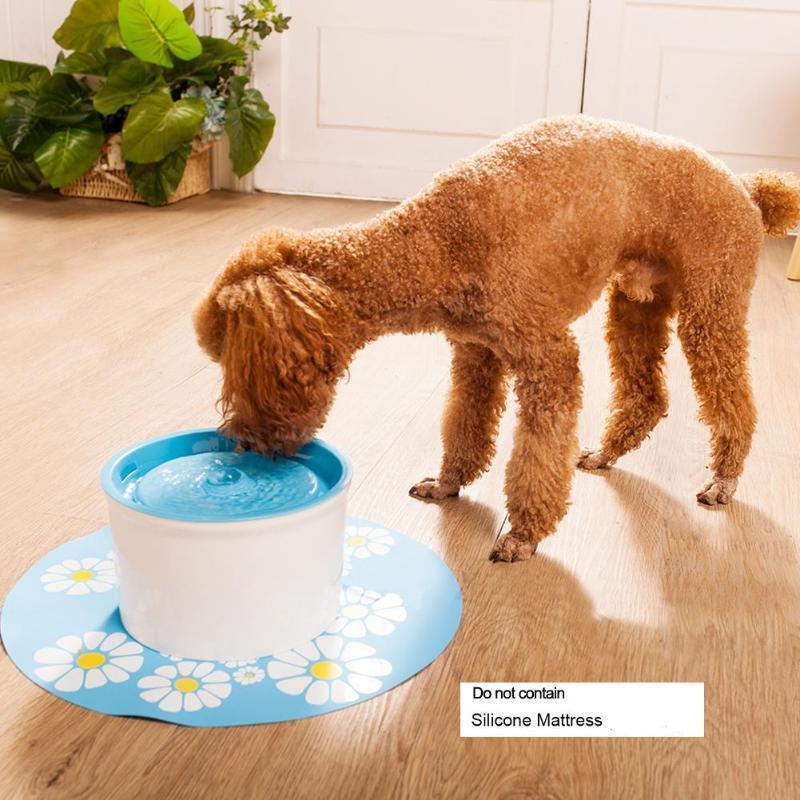 dog water fountain