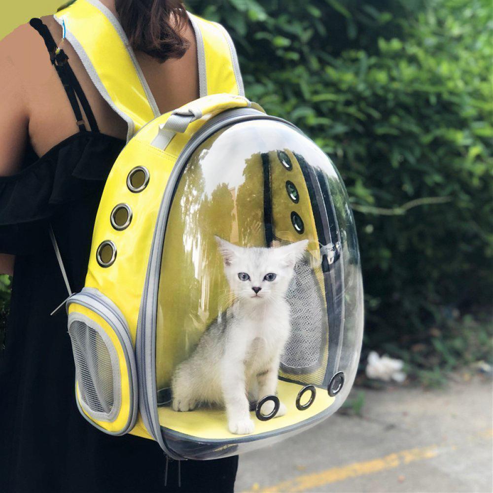 yellow cat backpack