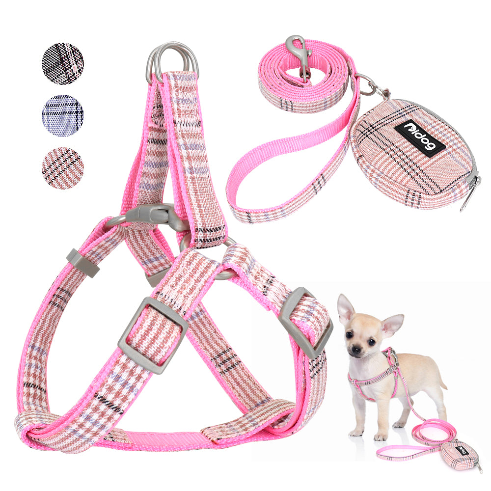 cute dog collars and leashes