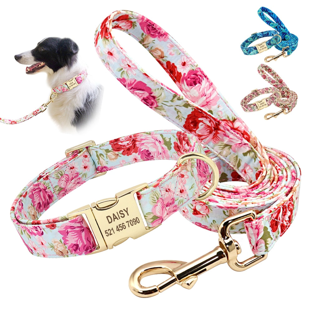 nylon dog collars leashes