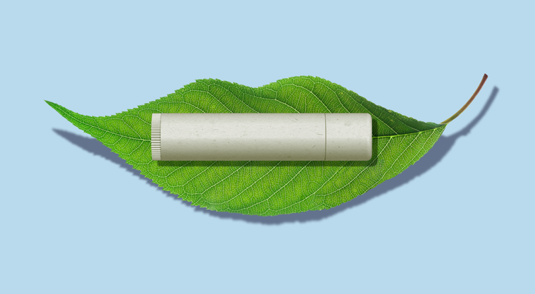 Vegan Lip Balm - Unflavored Ursinia – Plant Pucker