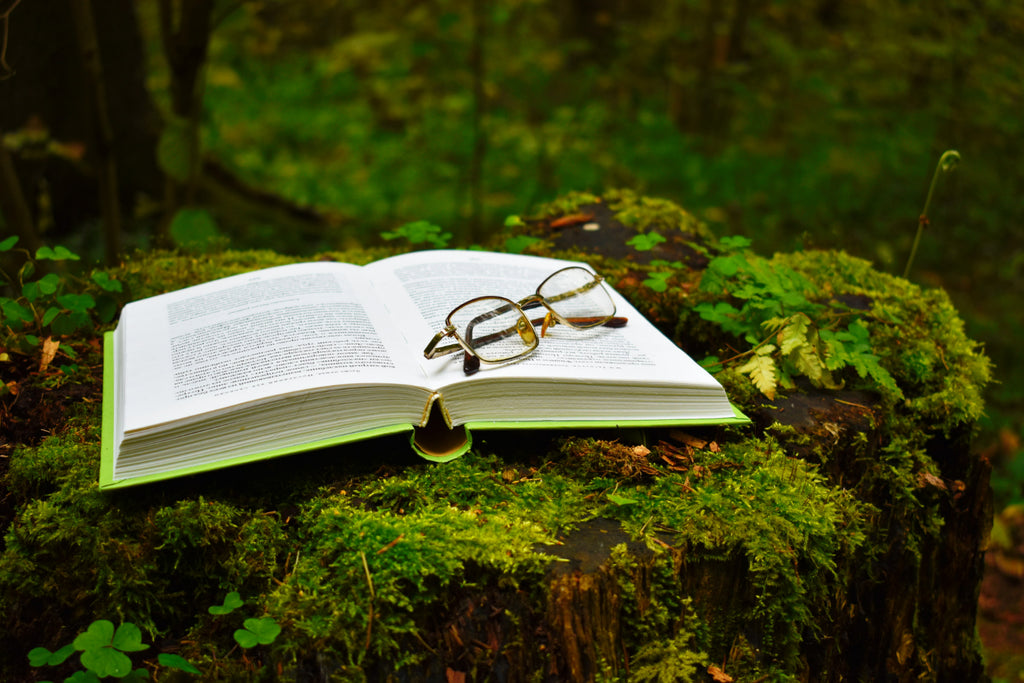 An open book resting on a moss-covered tree stump with a pair of round glasses on top, set in a lush forest, symbolizing the natural peace of reading outdoors.