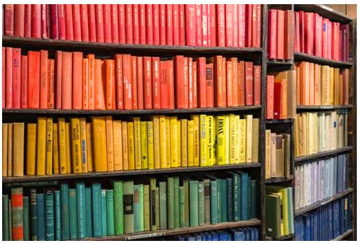 Vibrantly colored books are neatly organized on various shelves within a book cabinet showing that book organization can be colorful.