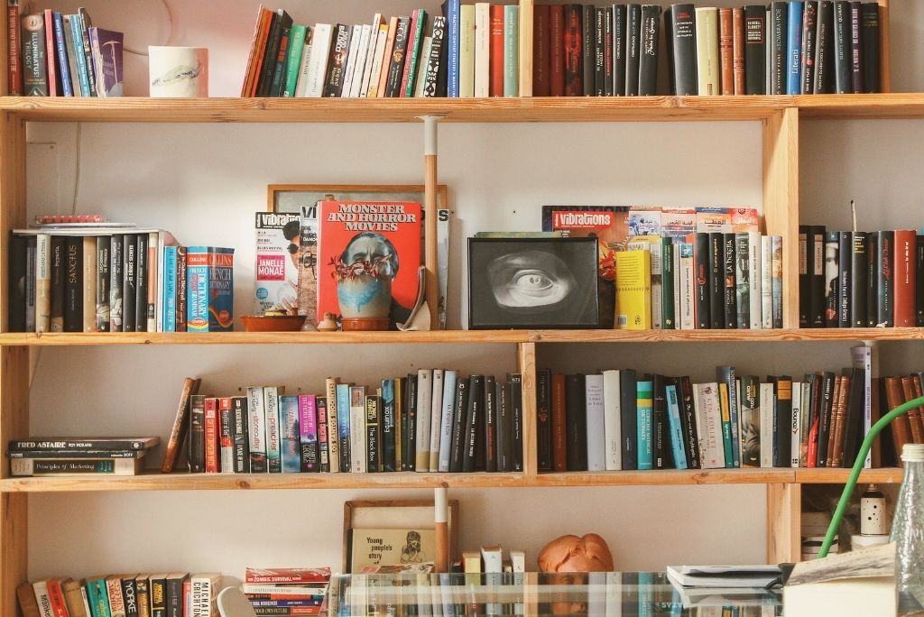 Wooden bookshelves filled with an array of books in a cozy room with soft lighting.