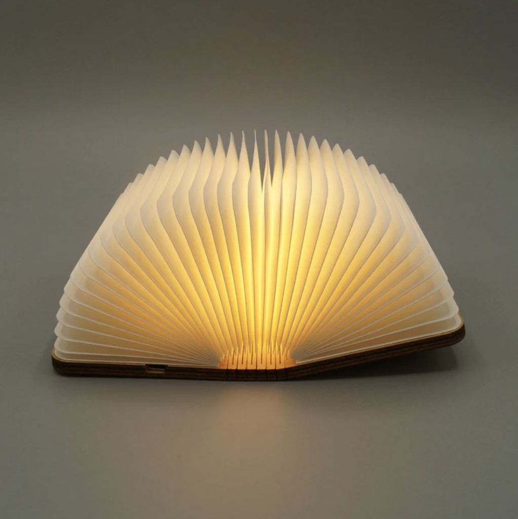 bookish gifts for the holidays- The Book Light