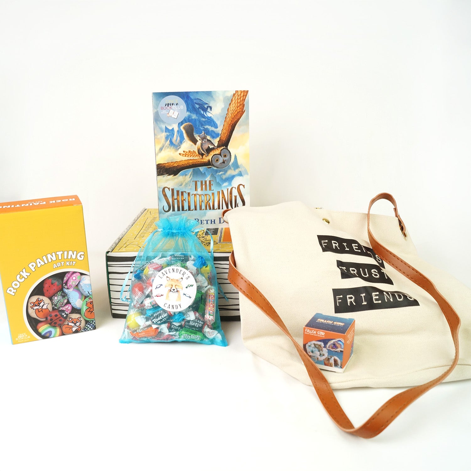 A paperback edition of The Shelterlings is on a yellow Once Upon a Book Club box. In front are a box labeled Rock Painting Kit, a teal bag filled with candy, and a white tote bag with text on the front Friends Trust Friends. On the bag is a small square box with a geode image on the front.