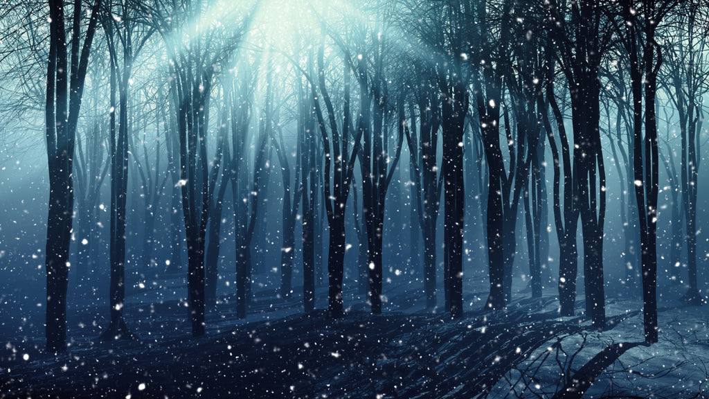 Enchanted snowy forest with bare trees under a mystical blue light, giving a serene yet mysterious ambiance.
