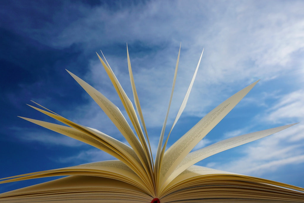 A book with open pages and a blue sky in the background: Celebrating the Rich Tapestry of Diverse Reading