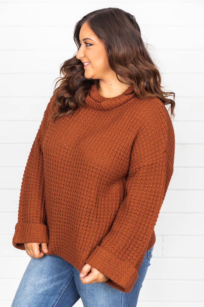 Tell Me What It's Like Brown Sweater FINAL SALE – Pink Lily