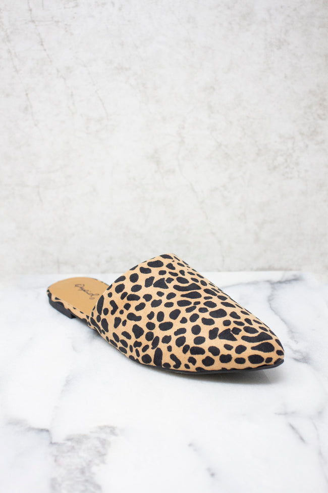 leopard print mules shoes