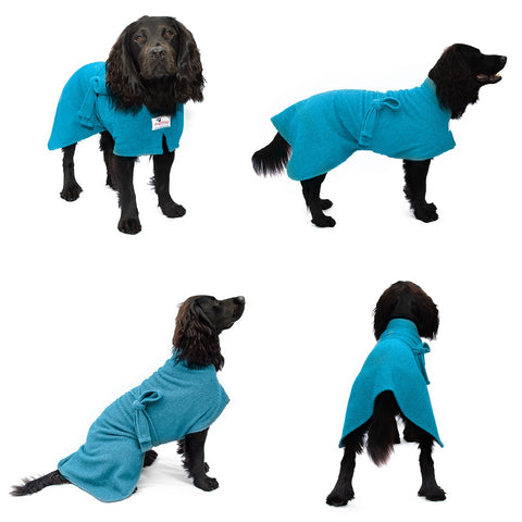 Spaniel wearing a dog drying robe view from front, side and rear