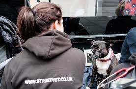StreetVet at work with homeless people