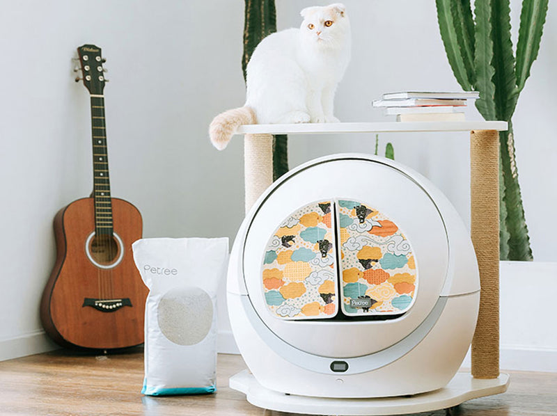 57 Best Photos Ever Clean Cat Litter Review : The Best Cat Litter Boxes For 2021 Reviews By Wirecutter