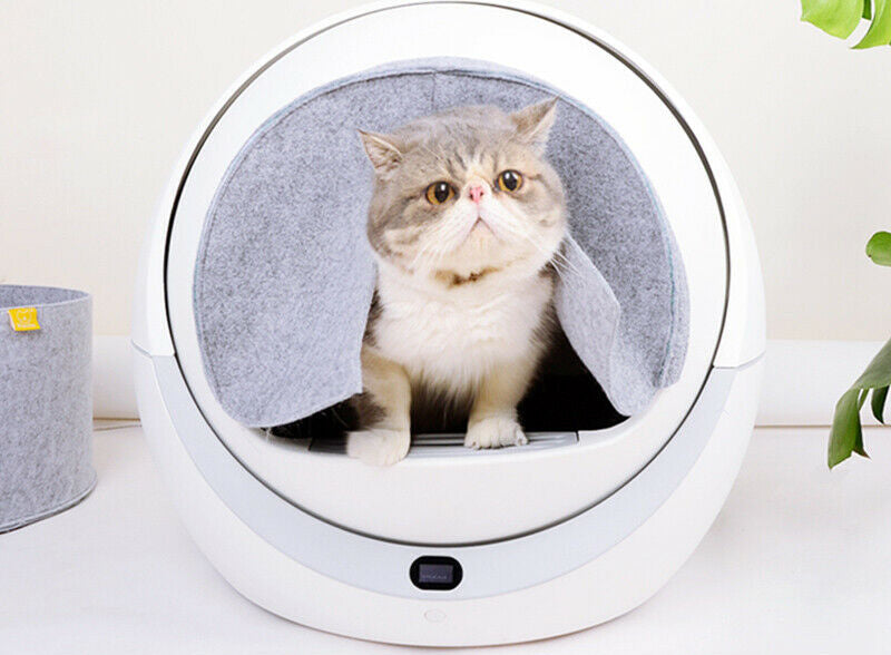 best automatic litter box reddit