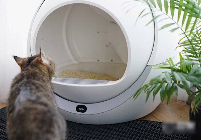 Petree Automatic Smart Cat Litter Box Review
