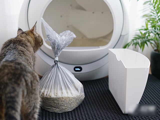 Petree Automatic Smart Cat Litter Box Review