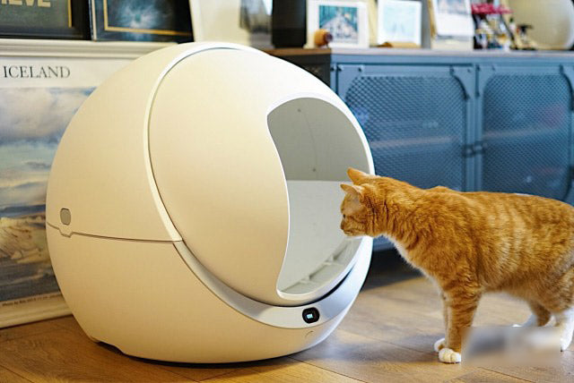 Petree Automatic Smart Cat Litter Box Review