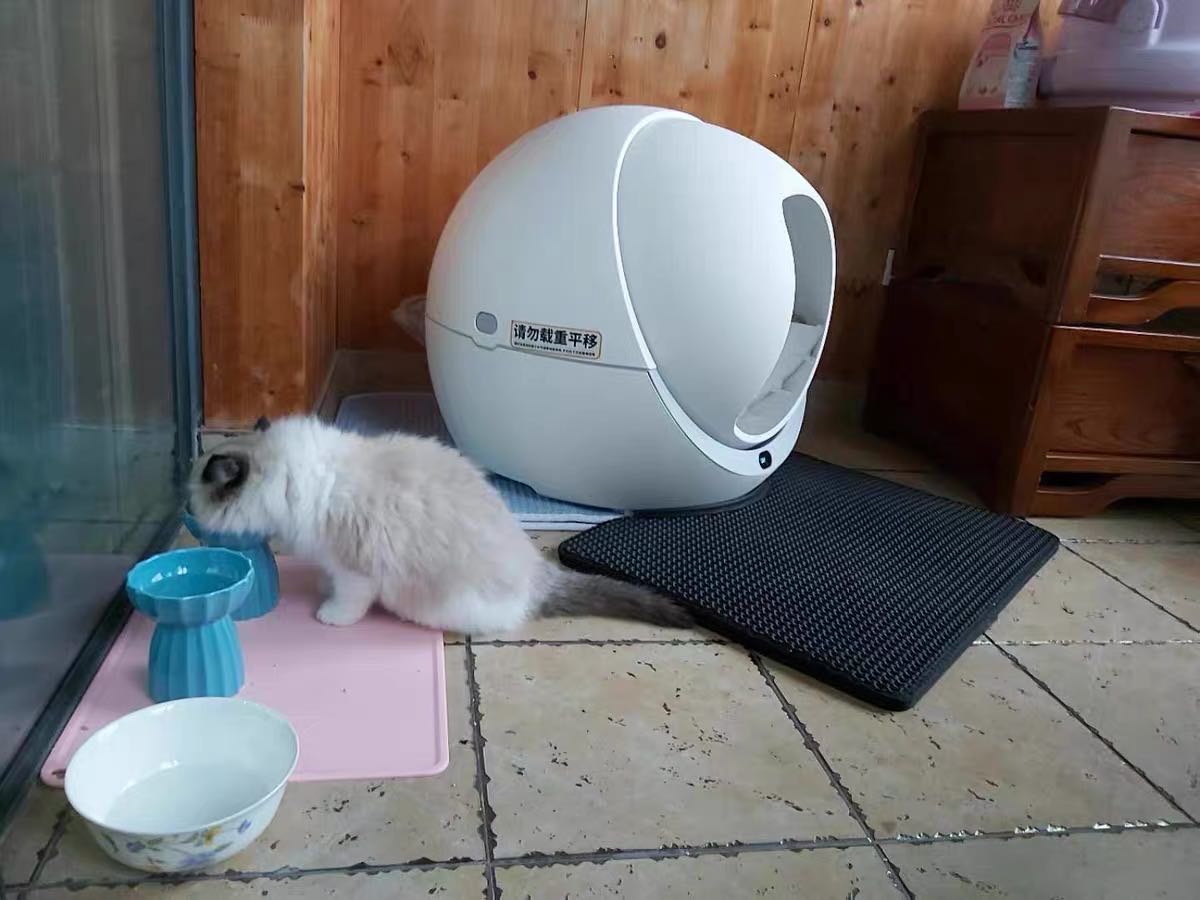 Self Cleaning Litter Box For Multiple Cats and Large Cats