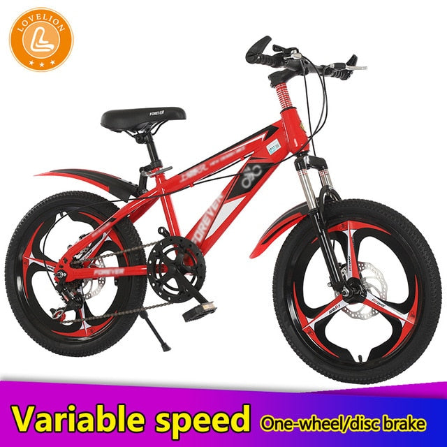 20 inch unisex bike