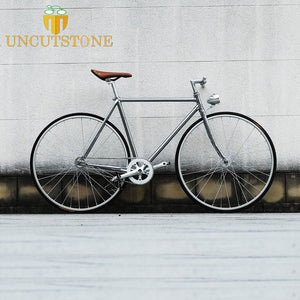 fixed gear steel frame