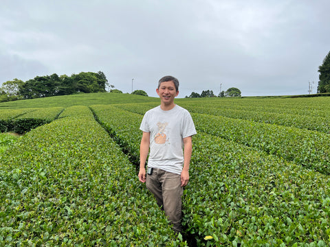 Japan organic tea farm visits