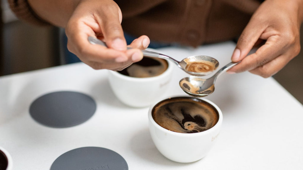 A barista is cupping coffee with cupping spoons and cupping bowls.