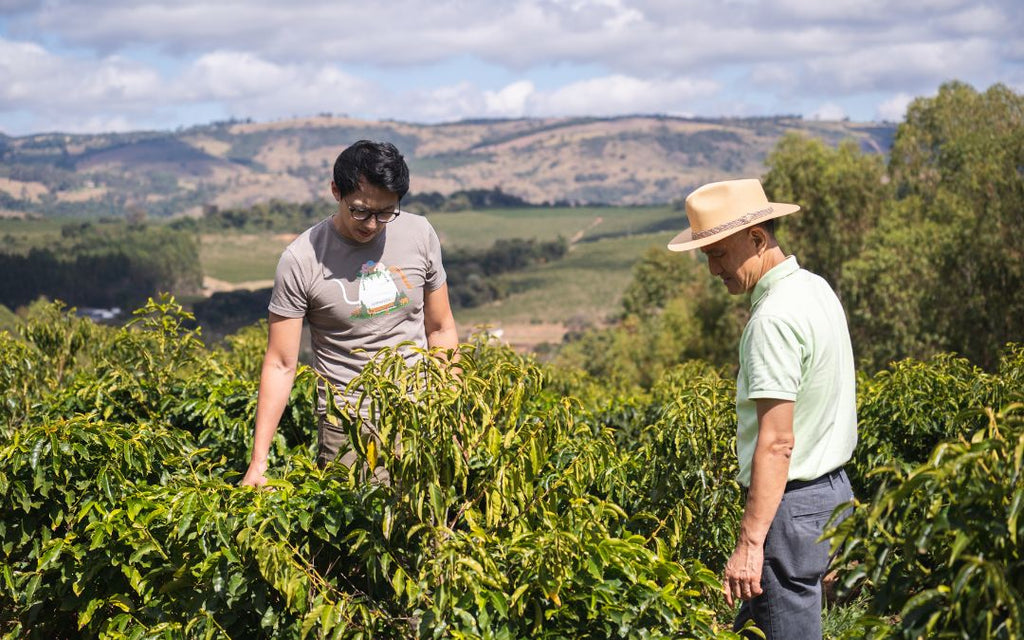 Boram and Stefano Um work on their family-owned Fazenda Um coffee farm.