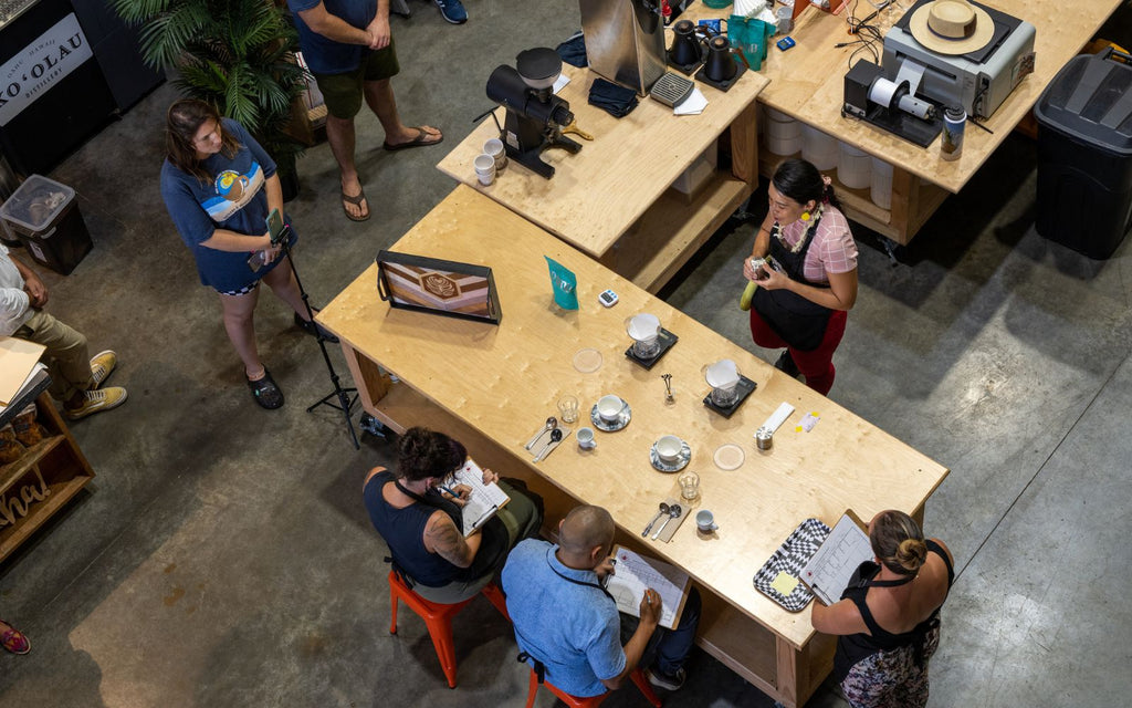 People are gathered around for the Hawaii Brewers Cup Preliminary Competition.