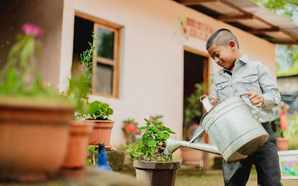 A student is watering at plant at Biblioteca Girasol